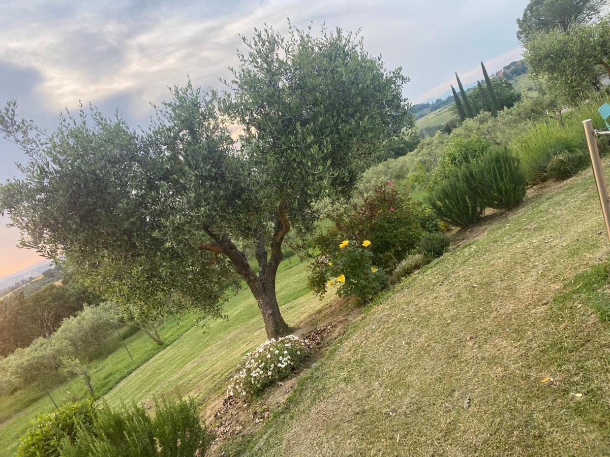 Agriturismo Palazzo Val Del Sasso Villastrada  المظهر الخارجي الصورة